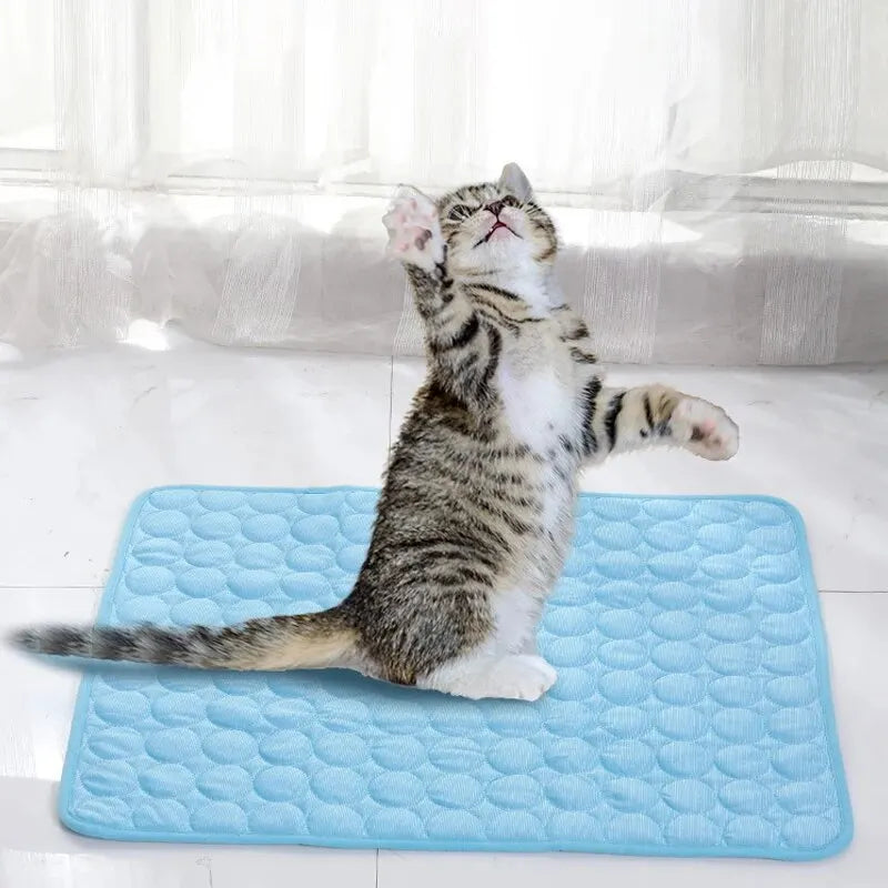 Tapis Rafraîchissant Premium